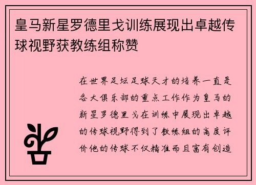 皇马新星罗德里戈训练展现出卓越传球视野获教练组称赞